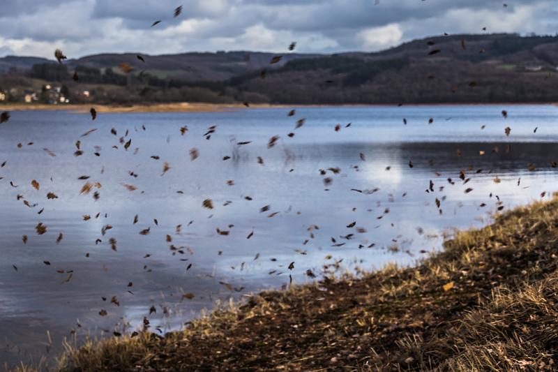 2019_02_09_Lac de Panneciere (0026).jpg - Lac de Pannecière (Février 2019)